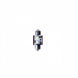 Żarówka rurkowa LED 31mm C5W C10W 12V CANBUS EINPARTS / EPLP01